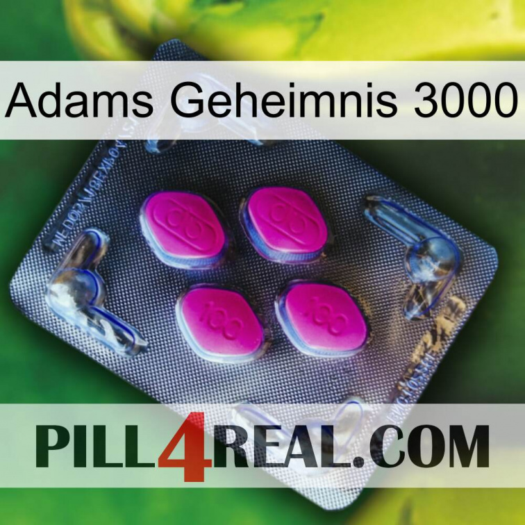 Adams Secret 3000 02
